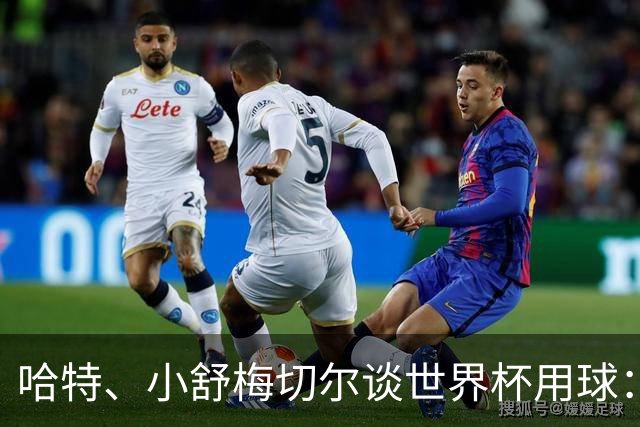 哈特、小舒梅切尔谈世界杯用球：这球肯定有问题，远射太多了